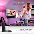 Indoor Smart Remote Control Multicolor Dimmable RGB